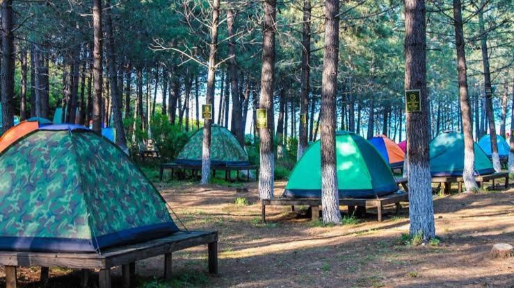 Karavan Kiralama&konaklama Lüks kamp alanı *